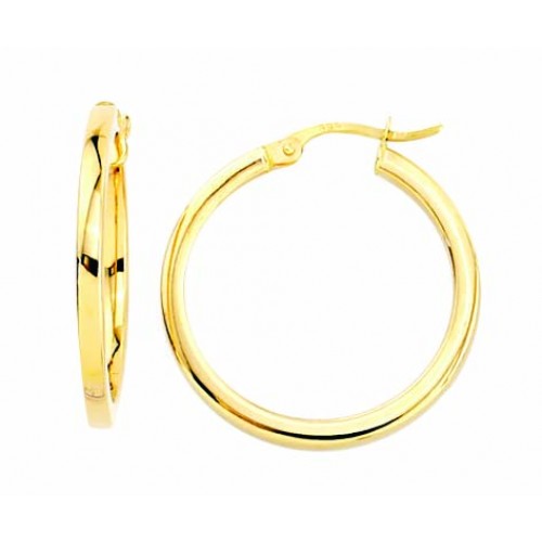 Gold Earrings 10kt, AR40-10-15